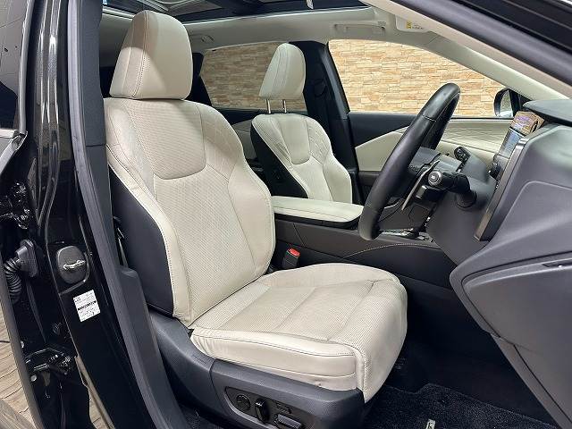 Lexus RX 11