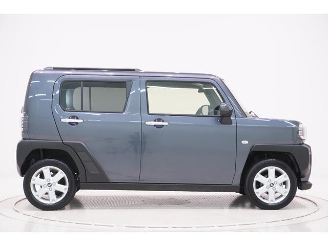 Daihatsu Taft 6