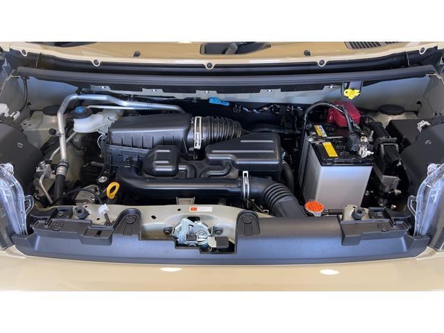 Daihatsu Taft 11