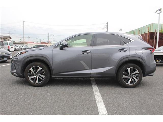 Lexus NX 11
