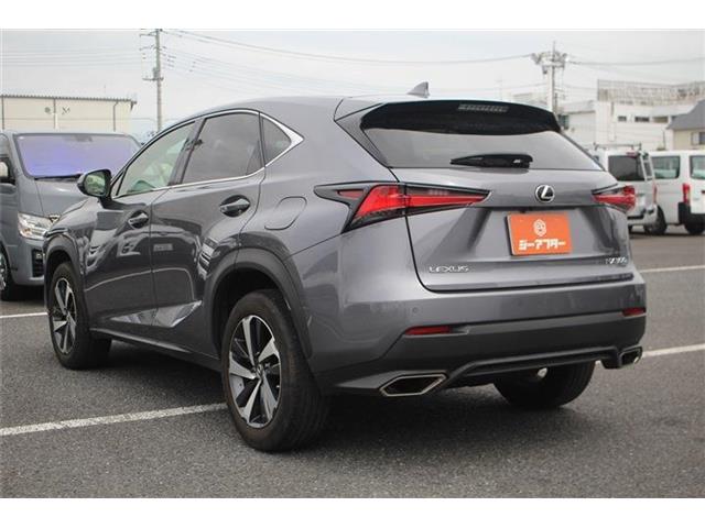 Lexus NX 12