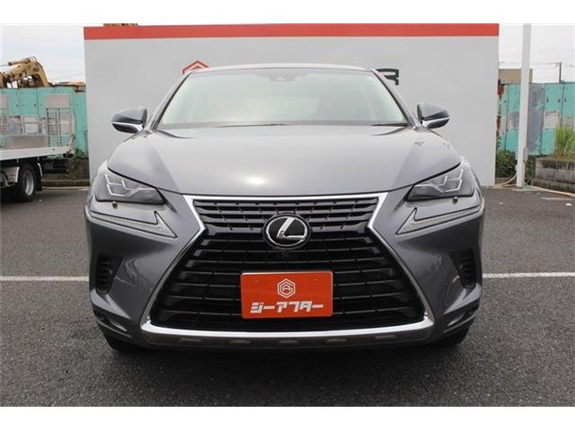 Lexus NX 9