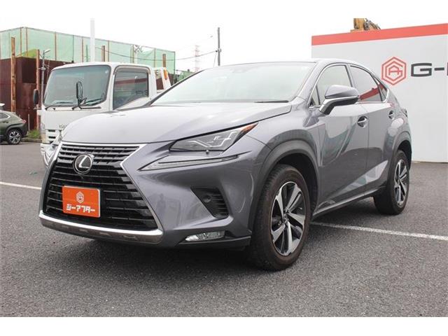 Lexus NX 10
