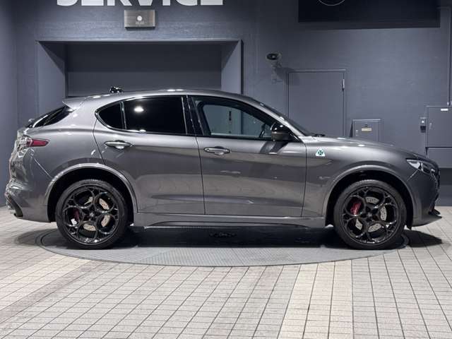Alfa Romeo Stelvio 11