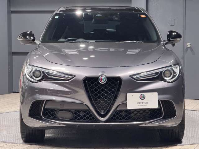 Alfa Romeo Stelvio 12