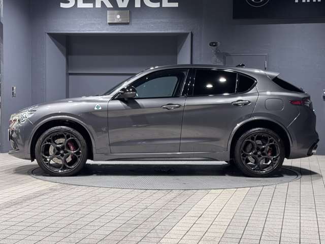 Alfa Romeo Stelvio 7