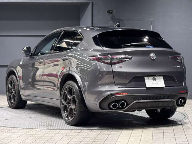 Alfa Romeo Stelvio 8