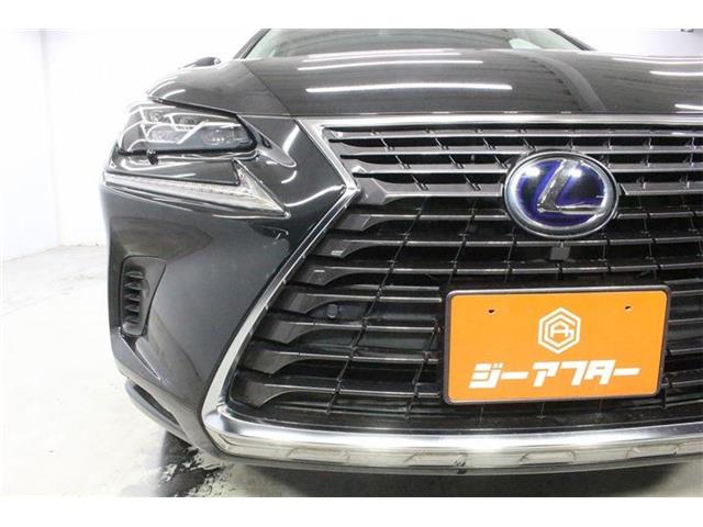 Lexus NX 12