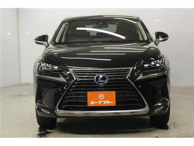 Lexus NX 3