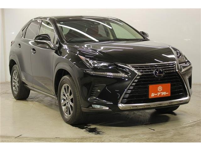 Lexus NX 4