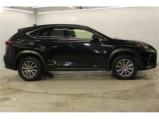 Lexus NX 5