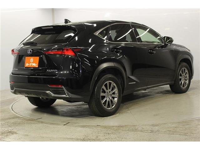 Lexus NX 6