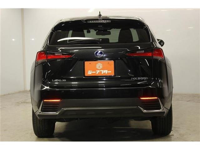 Lexus NX 7