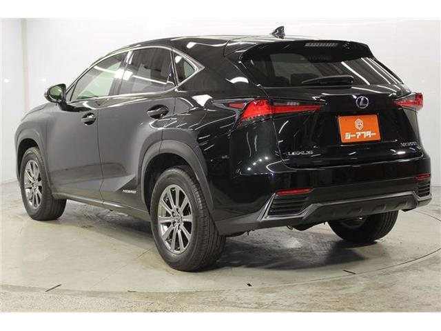 Lexus NX 8
