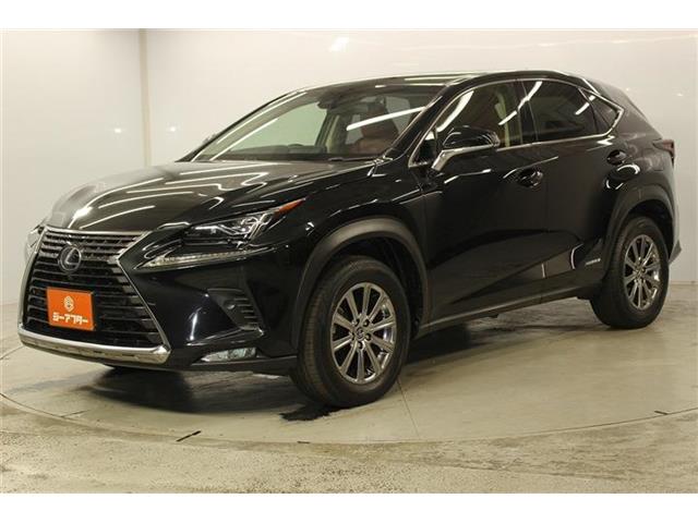 Lexus NX 10