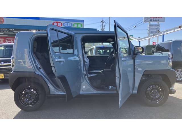 Daihatsu Taft 11