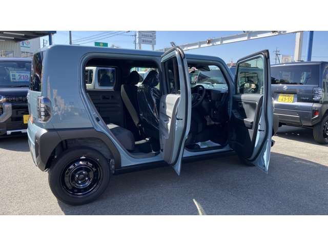 Daihatsu Taft 12
