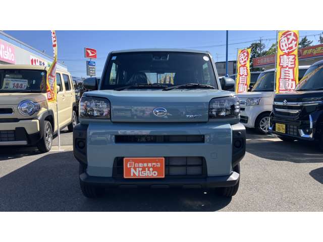 Daihatsu Taft 5