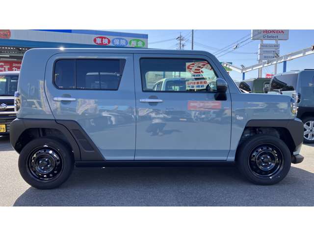 Daihatsu Taft 10