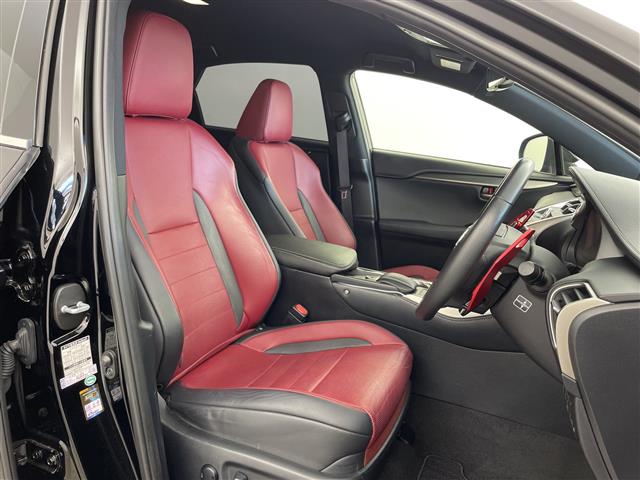 Lexus NX 11