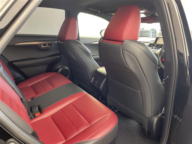 Lexus NX 12