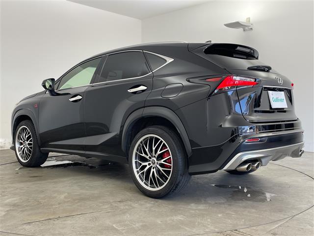 Lexus NX 3
