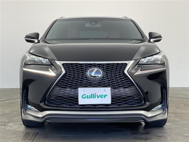 Lexus NX 6