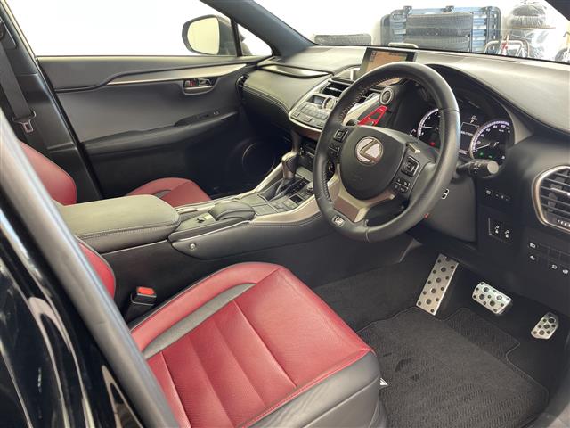 Lexus NX 10