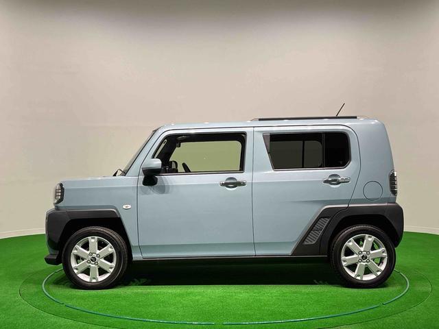 Daihatsu Taft 11