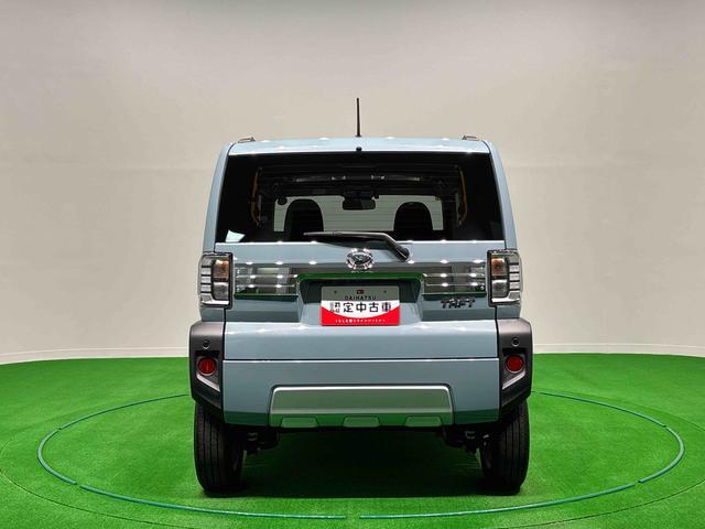 Daihatsu Taft 12