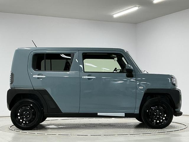 Daihatsu Taft 12
