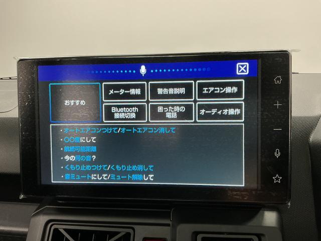 Daihatsu Taft 8