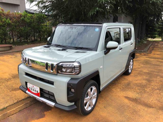 Daihatsu Taft 11