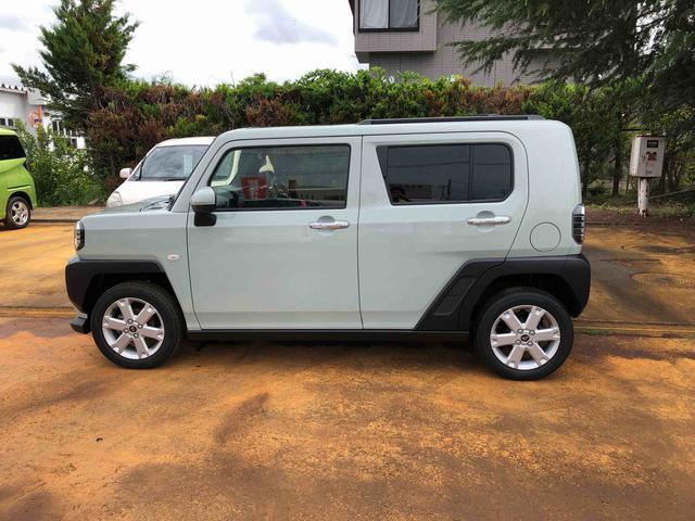 Daihatsu Taft 9