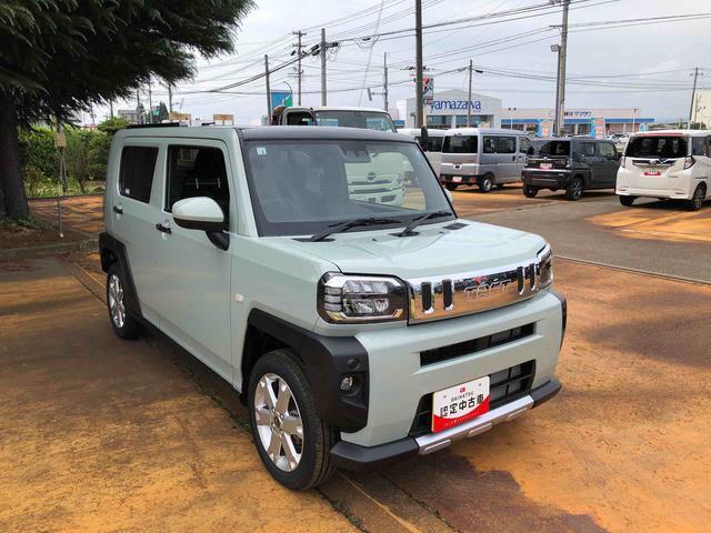Daihatsu Taft 10