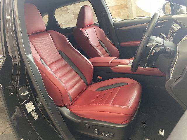 Lexus RX 11
