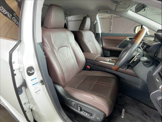 Lexus RX 11