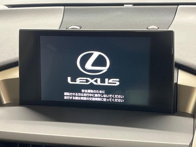 Lexus NX 4