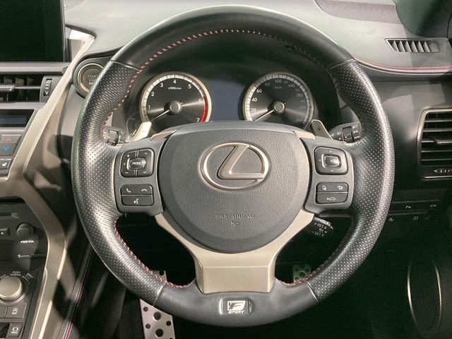 Lexus NX 11