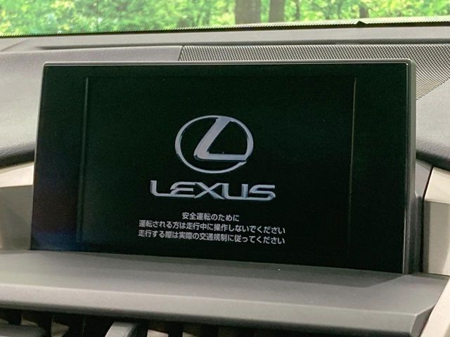 Lexus NX 4