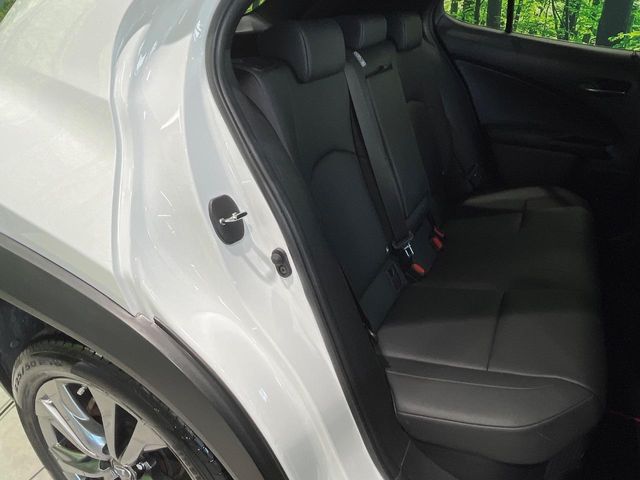 Lexus UX 9