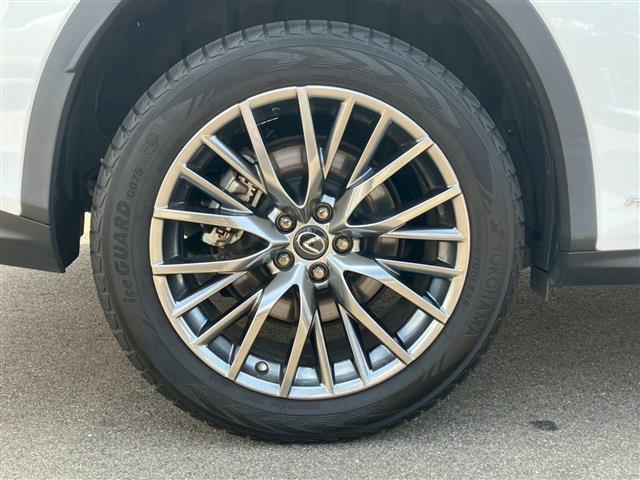 Lexus RX 11