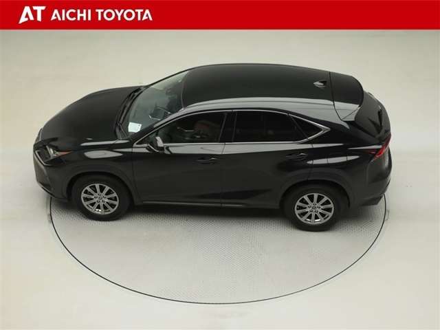 Lexus NX 11