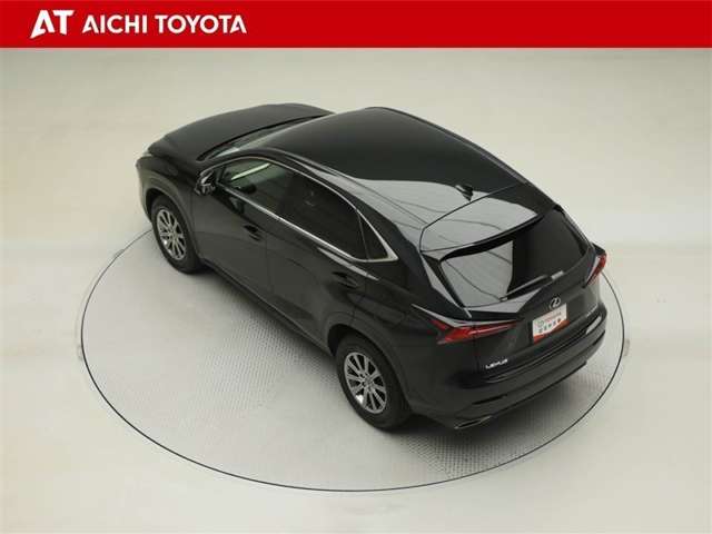 Lexus NX 12