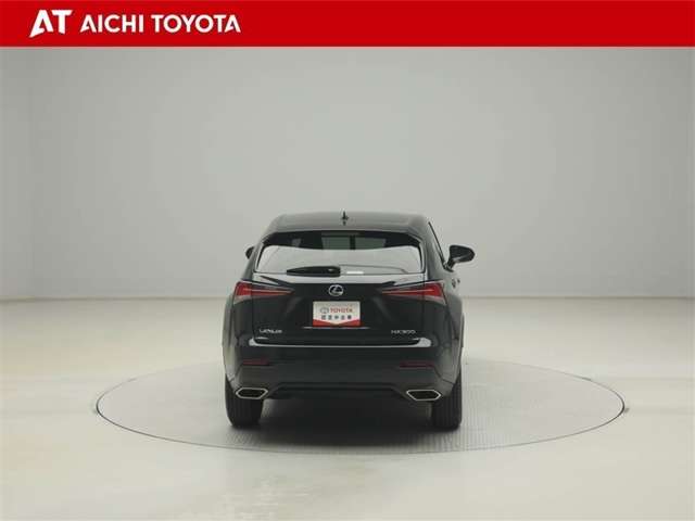 Lexus NX 5