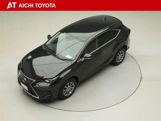 Lexus NX 10