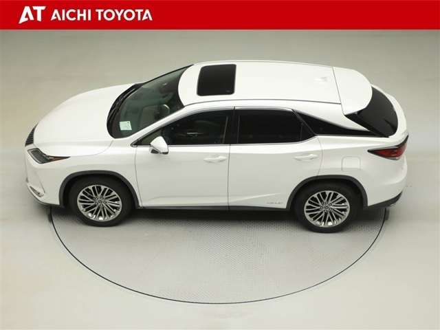 Lexus RX 11
