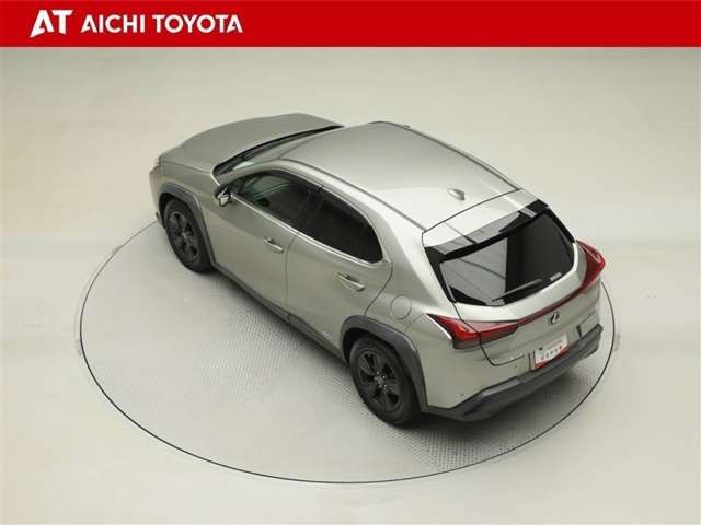 Lexus UX 12