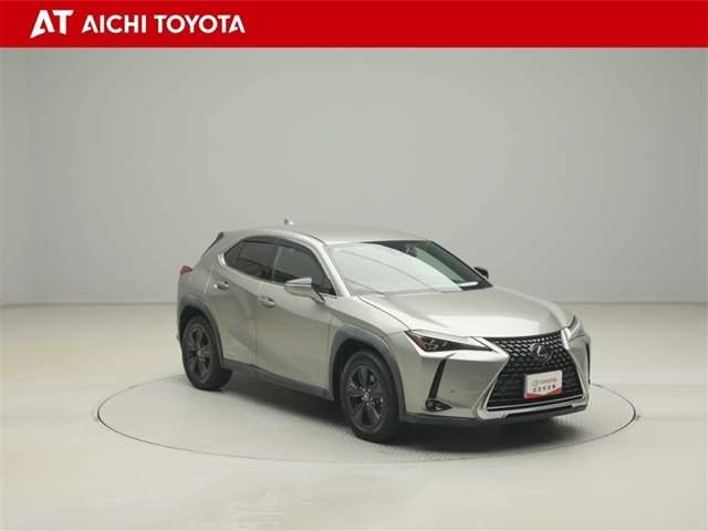 Lexus UX 8