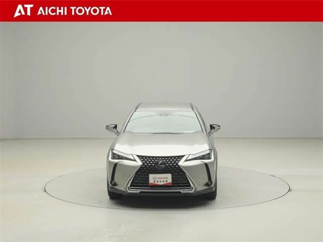 Lexus UX 9